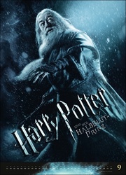 Harry Potter - Die besten Filmplakate 2024 - Abbildung 9