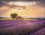 Blütenmeer 2024 - Cover