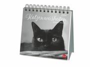 Wegler Katzenweisheiten Premium-Postkartenkalender 2024