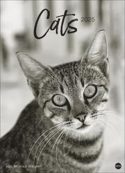 Cats Edition Kalender 2025 - Cover