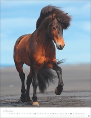 Pferde Classics Posterkalender 2025 - Abbildung 10