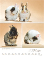 Kaninchenkinder Posterkalender 2025 - Abbildung 2