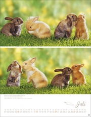Kaninchenkinder Posterkalender 2025 - Abbildung 7
