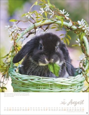 Kaninchenkinder Posterkalender 2025 - Abbildung 8