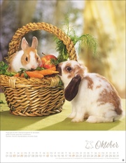 Kaninchenkinder Posterkalender 2025 - Abbildung 10