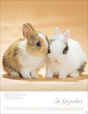 Kaninchenkinder Posterkalender 2025 - Abbildung 12