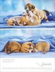 Hundekinder Posterkalender 2025 - Abbildung 1