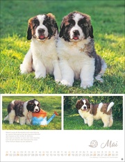 Hundekinder Posterkalender 2025 - Abbildung 5