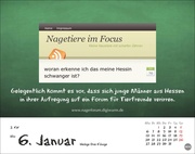 Bastian Sick Tagesabreißkalender 2025 - Abbildung 5