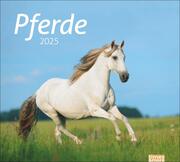 Pferde Bildkalender 2025 - Cover