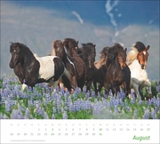 Pferde Bildkalender 2025 - Abbildung 8