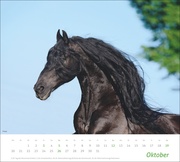 Pferde Bildkalender 2025 - Abbildung 10