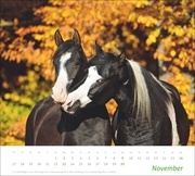 Pferde Bildkalender 2025 - Abbildung 11