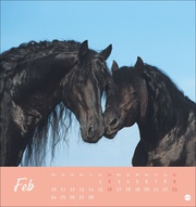 Pferde Postkartenkalender 2025 - Starke Freunde - Abbildung 2