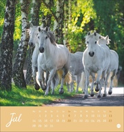 Starke Freunde Postkartenkalender 2025 - Abbildung 7