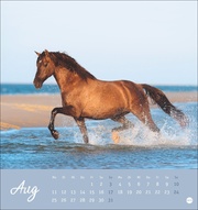 Pferde Postkartenkalender 2025 - Starke Freunde - Abbildung 8