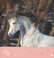Pferde Postkartenkalender 2025 - Starke Freunde - Abbildung 12