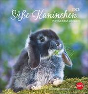 Süße Kaninchen Postkartenkalender 2025 - Cover