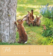 Süße Kaninchen Postkartenkalender 2025 - Abbildung 2
