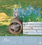 Süße Kaninchen Postkartenkalender 2025 - Abbildung 5