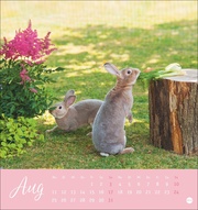 Süße Kaninchen Postkartenkalender 2025 - Abbildung 8