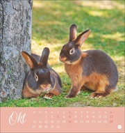 Süße Kaninchen Postkartenkalender 2025 - Abbildung 10