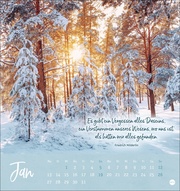 Unser Wald Postkartenkalender 2025 - Abbildung 1