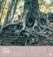 Unser Wald Postkartenkalender 2025 - Abbildung 2