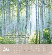 Unser Wald Postkartenkalender 2025 - Abbildung 4