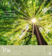 Unser Wald Postkartenkalender 2025 - Abbildung 5