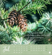 Unser Wald Postkartenkalender 2025 - Abbildung 7