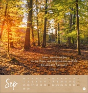 Unser Wald Postkartenkalender 2025 - Abbildung 9