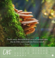 Unser Wald Postkartenkalender 2025 - Abbildung 10