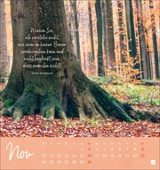 Unser Wald Postkartenkalender 2025 - Abbildung 11