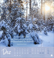 Unser Wald Postkartenkalender 2025 - Abbildung 12
