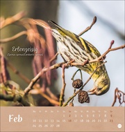 Vögel in unseren Gärten Postkartenkalender 2025 - Abbildung 2