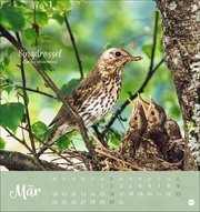 Vögel in unseren Gärten Postkartenkalender 2025 - Abbildung 3