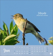 Vögel in unseren Gärten Postkartenkalender 2025 - Abbildung 6
