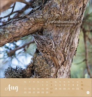 Vögel in unseren Gärten Postkartenkalender 2025 - Abbildung 8