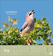 Vögel in unseren Gärten Postkartenkalender 2025 - Abbildung 9
