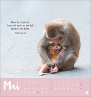 Mama - - Ohne dich geht nix! Postkartenkalender 2025 - Abbildung 5