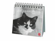 Monika Wegler: Katzen Weisheiten Premium-Postkartenkalender 2025 - Cover