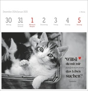 Monika Wegler: Katzen Weisheiten Premium-Postkartenkalender 2025 - Illustrationen 1