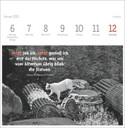 Monika Wegler: Katzen Weisheiten Premium-Postkartenkalender 2025 - Abbildung 2