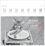 Monika Wegler: Katzen Weisheiten Premium-Postkartenkalender 2025 - Abbildung 3
