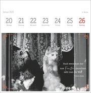 Monika Wegler: Katzen Weisheiten Premium-Postkartenkalender 2025 - Abbildung 4
