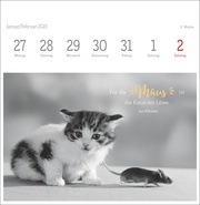 Monika Wegler: Katzen Weisheiten Premium-Postkartenkalender 2025 - Abbildung 5
