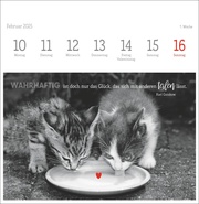 Monika Wegler: Katzen Weisheiten Premium-Postkartenkalender 2025 - Abbildung 7