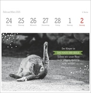 Monika Wegler: Katzen Weisheiten Premium-Postkartenkalender 2025 - Abbildung 9