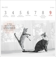 Monika Wegler: Katzen Weisheiten Premium-Postkartenkalender 2025 - Illustrationen 10
